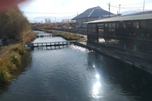 В некоторых рыбоводческих хозяйствах Таласской области выявили нарушения