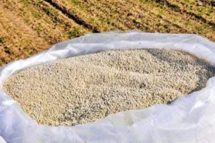 В Кыргызстане внедрён инновационный метод посева семян