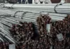 Минстрой Кыргызстана: Образцы ввозимой арматуры отправлены на лабораторные испытания