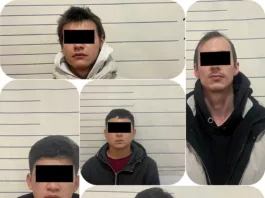 В Бишкеке задержана группа дропперов, участвовавших в крупной мошеннической схеме