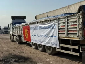 гумпомощь сирии