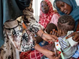 Совет Безопасности ООН обсудил связь между конфликтами и голодом