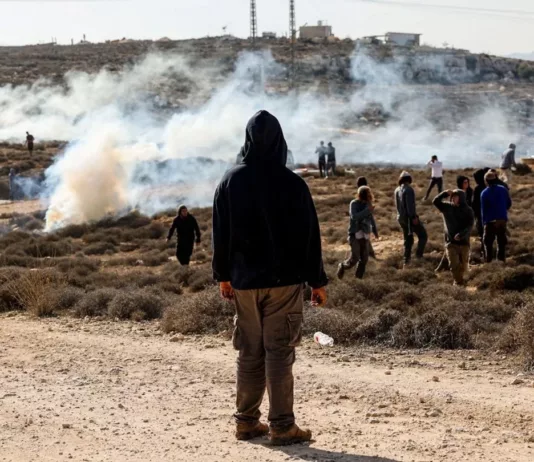 Посол США заявил о терроризме израильских радикалов