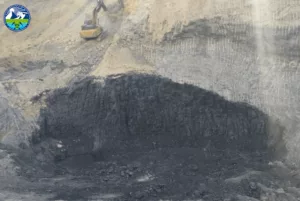 месторождение угля в Акталинском районе