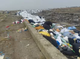 В Сокулукском районе выявлены незаконные свалки: продолжаются экологические исследования