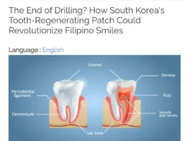 Пластырь для регенерации зубов изобрели в Корее