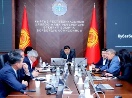 ЦИК КР аккредитовала ещё 81 международного наблюдателя на досрочные выборы депутатов Жогорку Кенеша