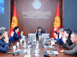 ЦИК КР утвердила результаты выборов по округу № 29