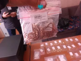 Налоговики Кыргызстана пресекли попытку незаконного ввоза золотых изделий