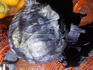 4f051c8c6c09548a0836d850b4be88c6 (1)