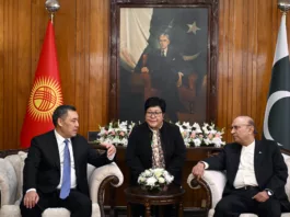 Садыр Жапаров провел переговоры с президентом Пакистана