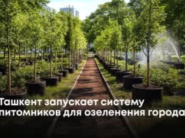 Ташкент запускает систему питомников для озеленения города
