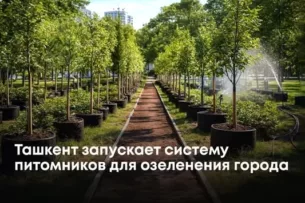 Ташкент запускает систему питомников для озеленения города