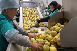 В Иссык-Кульской области будут открыты 6 торгово-логистических центров В Иссык-Кульской области будут открыты 6 торгово-логистических центров