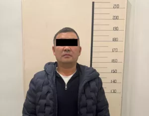 WhatsApp Image 2025-12-25 at 10.46.49 (1)