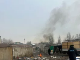 На территории Бишкека выявлено 290 случаев сжигания сухостоя, бытовых и иных видов отходов