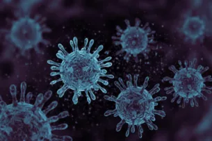 Заболеваемость ОРВИ и гриппом в Кыргызстане снизилась на 11,7%: 526 школ переведены на онлайн обучение Заболеваемость ОРВИ и гриппом в Кыргызстане снизилась на 11,7%: 526 школ переведены на онлайн обучение