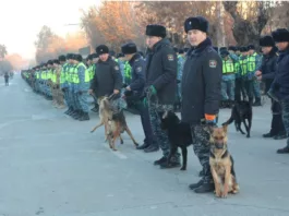Установлена личность женщины, ранее потерявшей память и обнаруженной в Сокулуке
