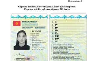 Утвержден образец национального водительского удостоверения Кыргызстана образца 2025 года