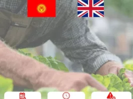 В Кыргызстане открывается онлайн-регистрация на сезонные работы в Великобритании с HOPS