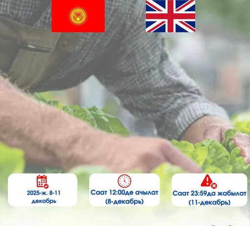 В Кыргызстане открывается онлайн-регистрация на сезонные работы в Великобритании с HOPS