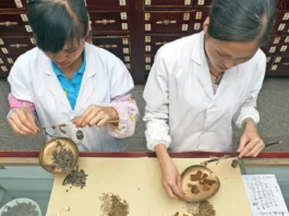 Традиционная медицина становится глобальным трендом?