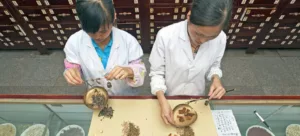 традиционная медицина