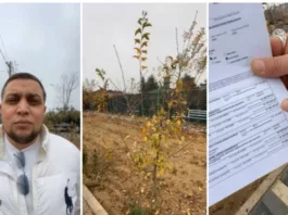 Суд в Ташкенте оштрафовал мужчину почти на $7 тысяч за превращение пустыря в зелёную зону