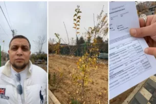 Суд в Ташкенте оштрафовал мужчину почти на $7 тысяч за превращение пустыря в зелёную зону Суд в Ташкенте оштрафовал мужчину почти на $7 тысяч за превращение пустыря в зелёную зону