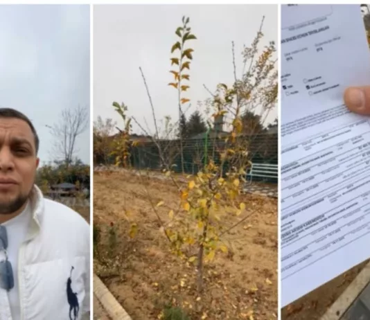 Суд в Ташкенте оштрафовал мужчину почти на $7 тысяч за превращение пустыря в зелёную зону