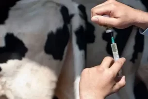 В Кыргызстане хотят запустить пилотную программу «Молодой ветеринар: жильё и карьера» В Кыргызстане хотят запустить пилотную программу «Молодой ветеринар: жильё и карьера»