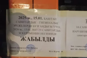 Санэпиднадзор закрыл точку фастфуда в Бишкеке после массового отравления шаурмой