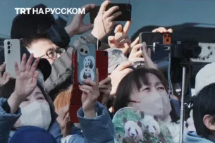 Самые популярные медведи Токио «собирают чемоданы» Самые популярные медведи Токио «собирают чемоданы»