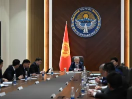 Адылбек Касымалиев встретился с инвесторами в сфере энергетики