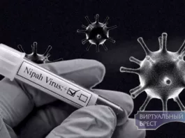 В Кыргызстане введено ограничение на ввоз животных из Индии