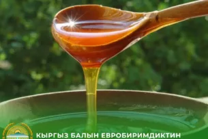 Кыргызский мед получил доступ на рынок Евросоюза