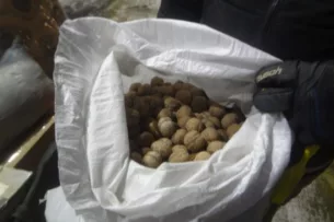 В Россию не пропустили 160 килограммов грецких орехов из Кыргызстана В Россию не пропустили 160 килограммов грецких орехов из Кыргызстана