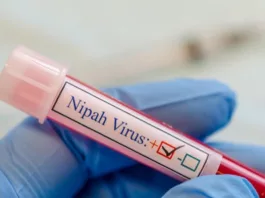 Минздрав Кыргызстана: На территории страны случаи заболевания вирусом Нипах не зарегистрированы