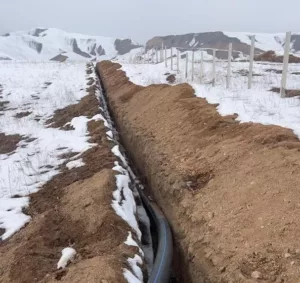 WhatsApp Image 2026-02-03 at 14.41.12