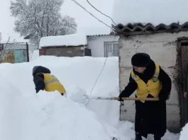 Минтруда: 854 социальных работника обслуживают 9452 человека на дому