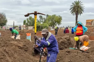 В Южной Африке началась золотая лихорадка после удачной находки в загоне для скота В Южной Африке началась золотая лихорадка после удачной находки в загоне для скота