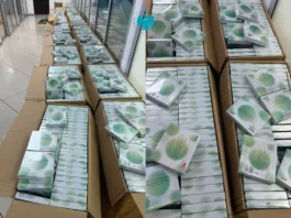 Налоговики Кыргызстана пресекли незаконный ввоз крупной партии БАДов