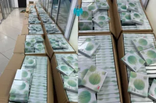 Налоговики Кыргызстана пресекли незаконный ввоз крупной партии БАДов