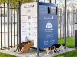 В Дубае брошены тысячи домашних животных. Хозяева бегут из-за войны в Иране