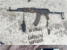 МВД Кыргызстана: Пресечена деятельность устойчивой ОПГ