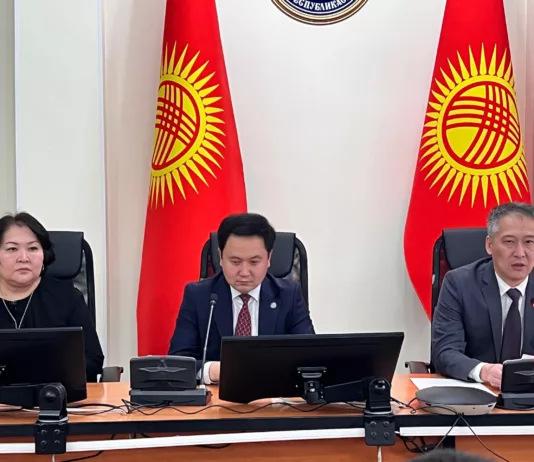 Коллективу Минздрава КР представили нового заместителя министра