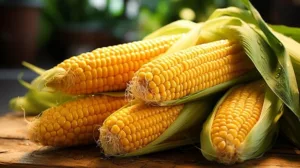 WhatsApp Image 2026-03-19 at 09.53.25