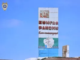 В Жумгальском районе выявлены факты незаконной передачи в аренду земель лесного хозяйства