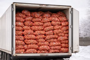 56 тонн лука из Казахстана не допущены на территорию Кыргызстана