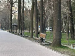 МП “Бишкекзеленстрой” рассказало о нумерации зеленых насаждений